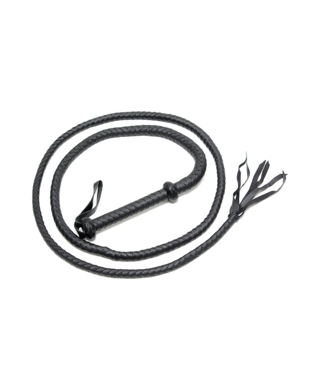 Whip 250 cm