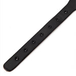 Collar with Bell and Leash
