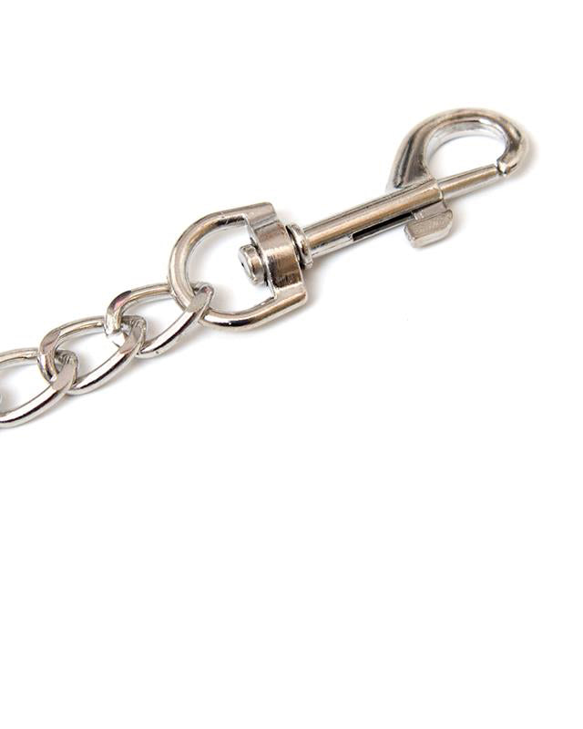 Metal Chain Leash